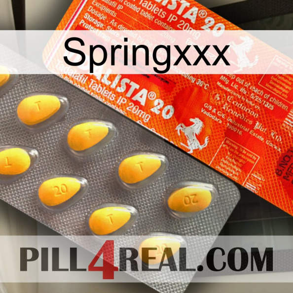 Springxxx new01.jpg